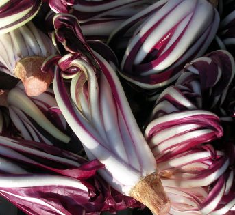 Radicchio, 4 varietà Igp a tutto sapore