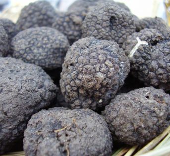 Raddoppia il prezzo dei tartufi