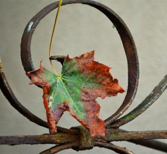 Per Ognissanti in 400mila hanno scelto l’agriturismo