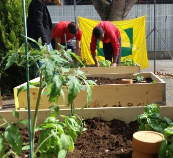 A Roma, un orto per i giovani migranti dell’ “Aver Drom”