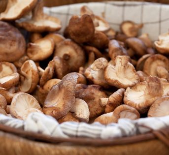 Autunno, tutti pazzi per le sagre