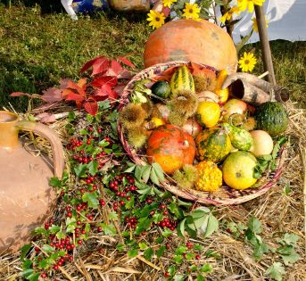 Spesa di ottobre: la tavola si tinge d’autunno