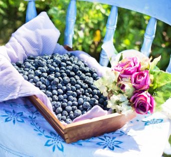 Il mirtillo e le sue incredibili proprietà