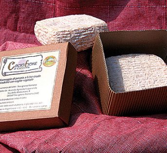 Caciofiore, l’antenato del pecorino
