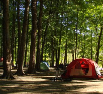 Tra camper e tenda, oltre 5 milioni di italiani scelgono il relax a tutta natura