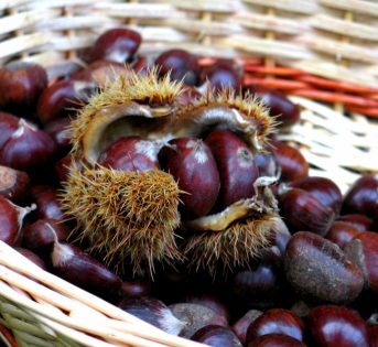 Più castagne straniere che italiane sulle tavole del Belpaese