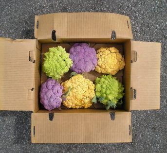 Cavolfiore, versatile e colorato