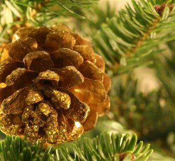 Natale, è boom per i decori naturali