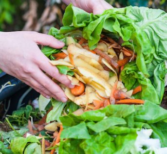 Campagna Amica e Caritas insieme contro lo spreco alimentare
