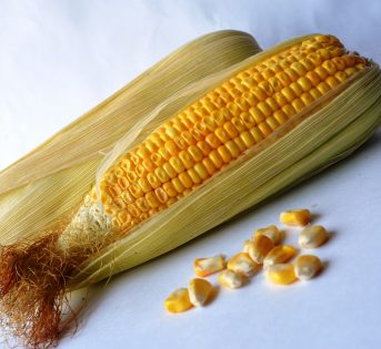 Mais dolce, piccoli granelli di energia