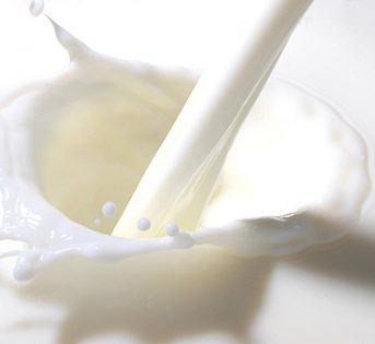 Latte crudo, 59 distributori tra Torino e provincia