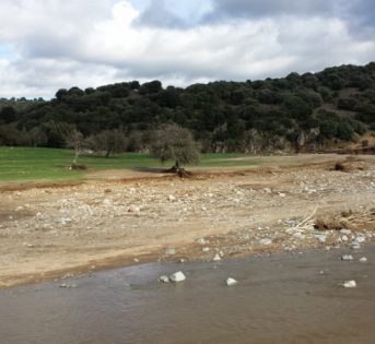 Il camion giallo di Campagna Amica porta cibo a Olbia