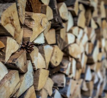 Pistoia, la legna arriva al mercato