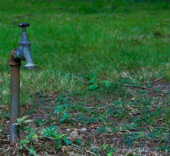 Un’estate da record, tra siccità e incendi