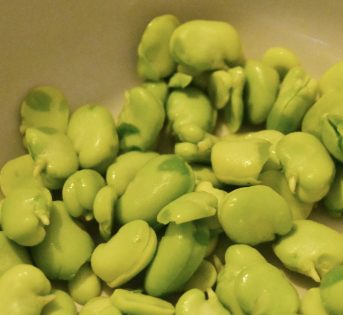 Fave, primizia di primavera
