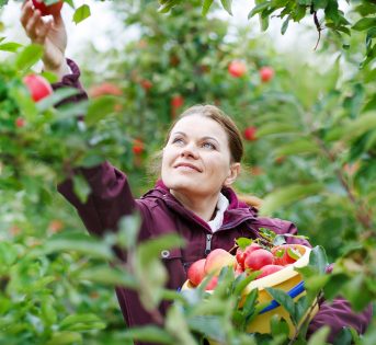 Agricoltura, una azienda su tre è condotta da una donna
