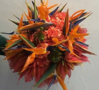 Le eccellenze dei nostri agricoltori protagoniste a Sanremo