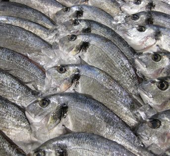 Venerdì Santo di pesce per 3 italiani su 4