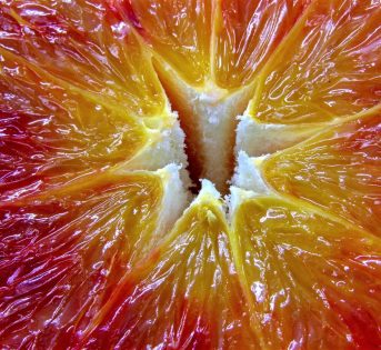 Le arance della ricerca arrivano al Carrefour
