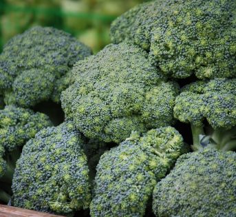 Broccolo, un sapore genuino dell’alimentazione contadina