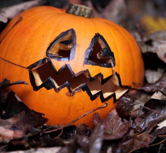 Halloween: le zucche prendono vita, ecco i segreti dell’intaglio