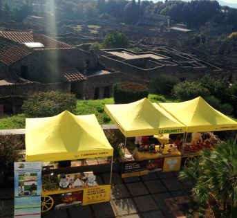 A Pompei si gusta l’idromele, bevanda degli dei