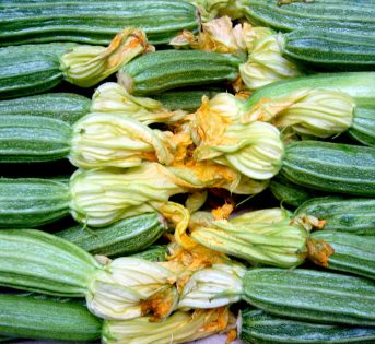 In Sardegna, questo weekend “Spesa consapevole” con Campagna Amica