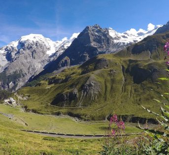 Quando un prodotto può dirsi davvero “di montagna”?