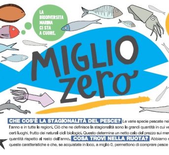 Stagionalità del pesce, impara a conoscere cosa offre il nostro mare