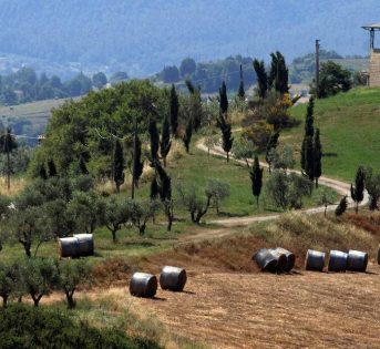 Estate, il 93% degli italiani sceglie la vacanza nel Belpaese