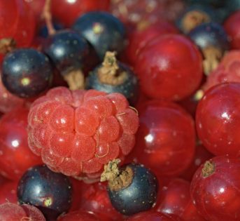 Luglio tempo d’estate: i prodotti del mese