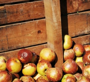 Cibo, un terzo va sprecato