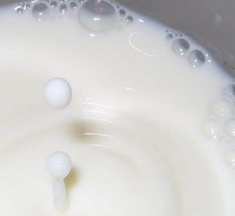 Latte made in Italy: allevatori allo stremo