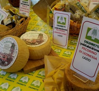 Terremoto, la ricostruzione passa per l’agricoltura: creiamo i presupposti