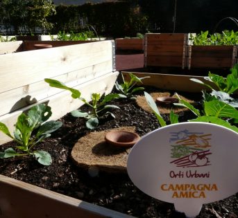 A Firenze spuntano gli “orti dipinti”