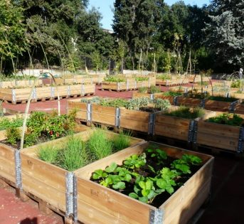 ?Primo weekend di primavera, i segreti dell’orto perfetto
