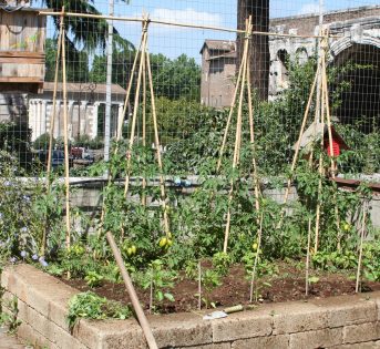 Sostegni e tutori, piccoli segreti nell’orto primaverile