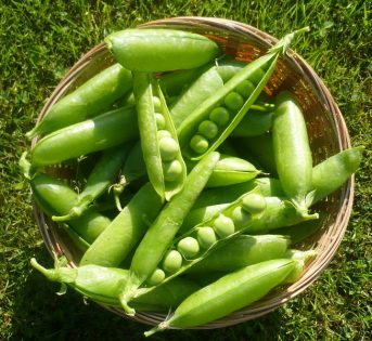 Verdure di stagione: la spesa di maggio