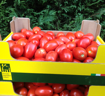 In Sardegna, i prodotti a km 0 entrano nella Gdo