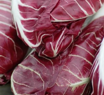 Radicchio, un rubino nel piatto