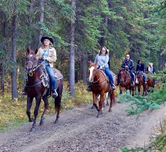 Equiturismo Fitetrec e Agriturismi Campagna Amica: aperto un sodalizio tutto italiano