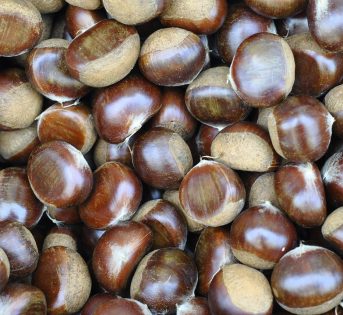 Castagne, la bontà che sa d’autunno