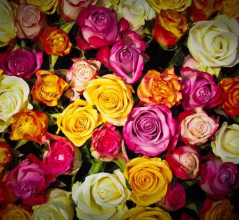 A San Valentino regala fiori italiani!