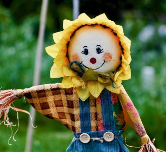 Come difendere le nostre piante dagli uccelli