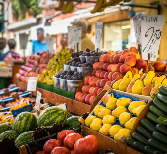 Business plan e piano marketing per aziende agricole, ecco come costruirli