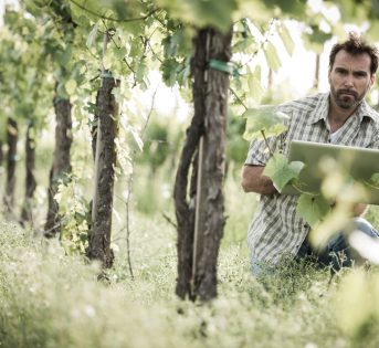 Perché il marketing è importante per le aziende agricole?