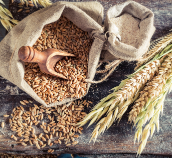 Biodiversità in agricoltura