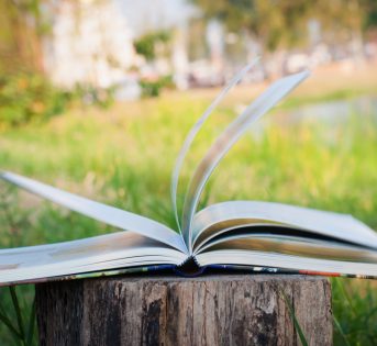 Gettare ponti verso il futuro