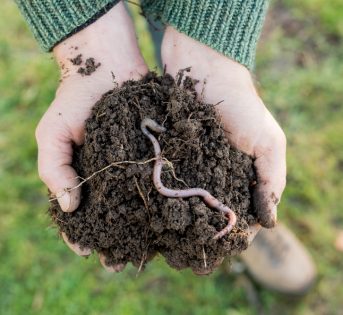 Il suolo, così prezioso e così minacciato