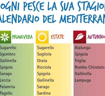 Stagionalità del pesce, cosa scegliere in primavera